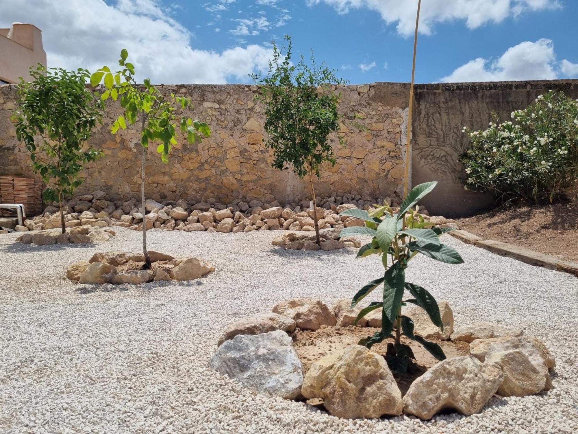 Casa Rodriguillo Bed and Breakfast Pinoso Εξωτερικό φωτογραφία