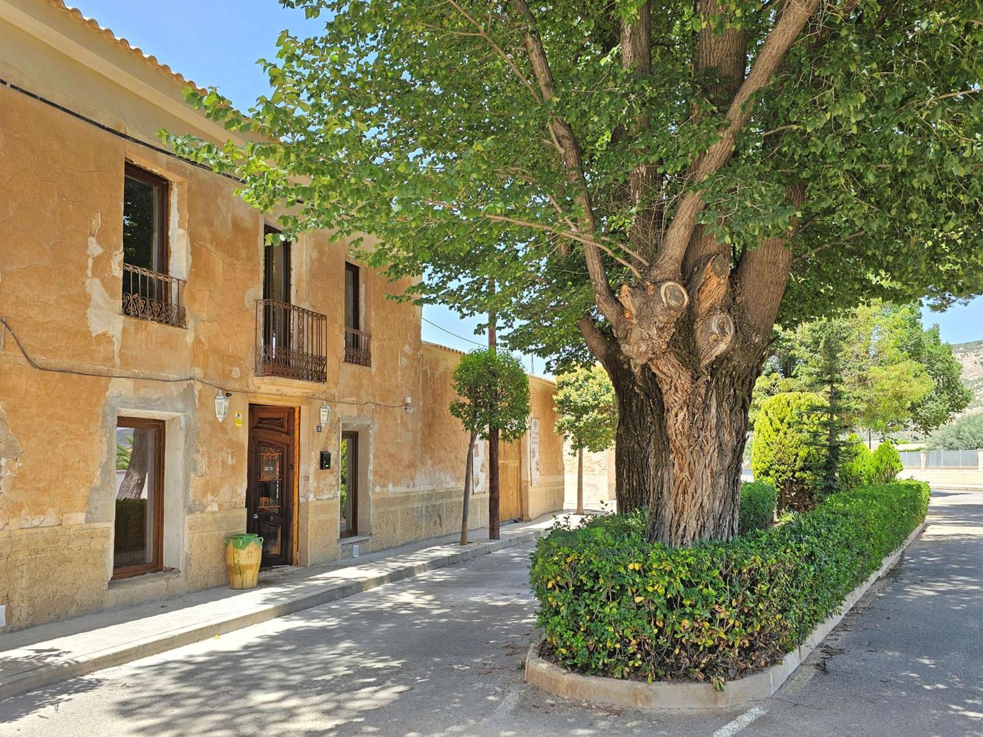 Casa Rodriguillo Bed and Breakfast Pinoso Εξωτερικό φωτογραφία